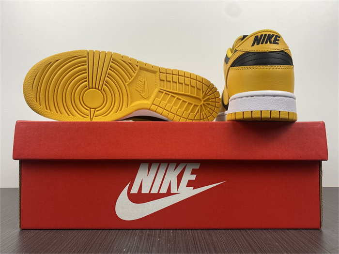nike dunk low championship G01denrod dd1391-004