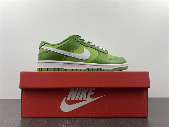nike dunk low Ch10rophyll dj6188-300