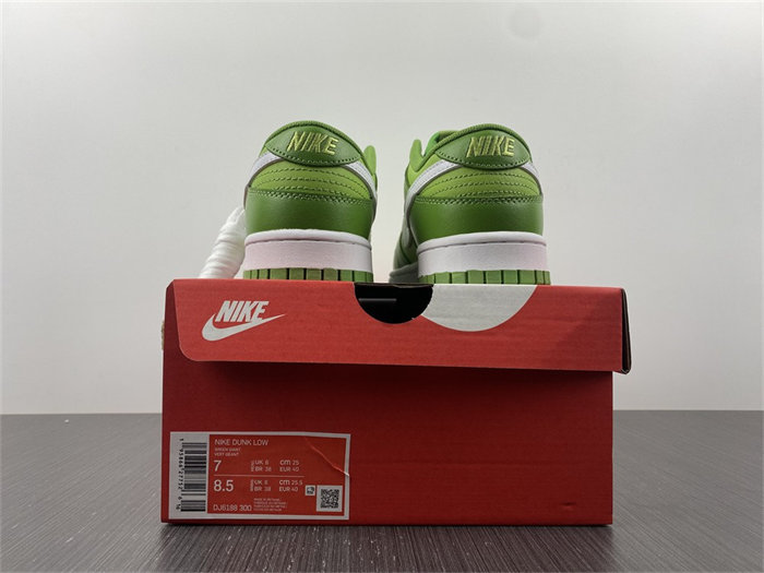 nike dunk low Ch10rophyll dj6188-300