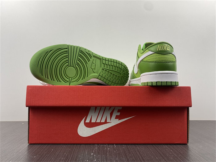 nike dunk low Ch10rophyll dj6188-300