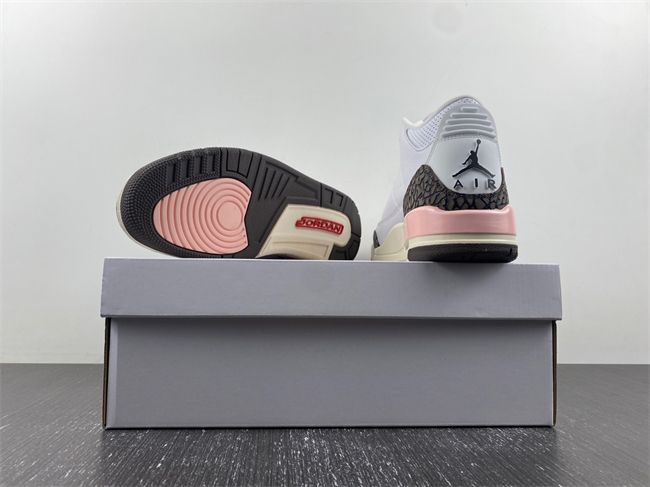 Jordan3 Neapolitan Dark Mocha CK9246-102