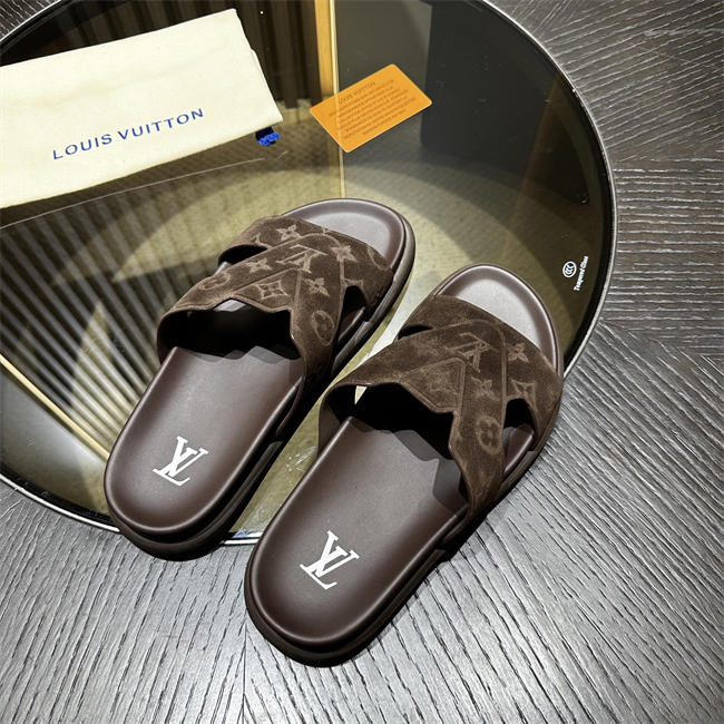 LV1S 079